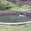20141012_084215.jpg