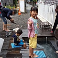 20141011_122412.jpg