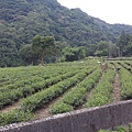 20150614_743.jpg