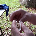20150614_1643.jpg