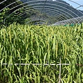 20150621_074136.jpg