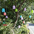 20150621_074445.jpg