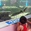 20150619_103246.jpg