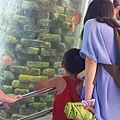 20150619_103416.jpg