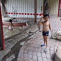 20150619_165723.jpg