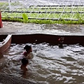 20150619_173756.jpg
