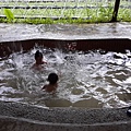 20150619_173808.jpg