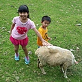 20150620_121957.jpg
