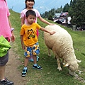 20150620_122205.jpg