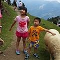 20150620_122211.jpg