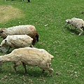 20150620_122242.jpg