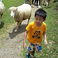 20150620_122359.jpg