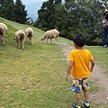 20150620_122426.jpg