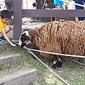 20150620_124032.jpg