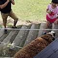 20150620_124311.jpg