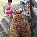 20150620_124335.jpg