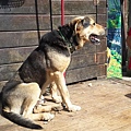 20150620_152214.jpg
