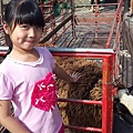 20150620_152418.jpg