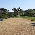 20150913_6906_0.jpg