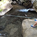 20151130_5021.jpg