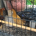 20151130_5766.jpg