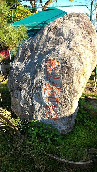 20151213_8701.jpg