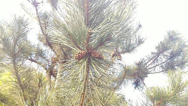 20151213_8717.jpg