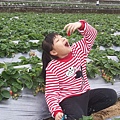 20160103_9487_0.jpg