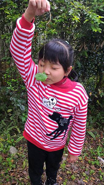 20160103_223.jpg