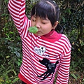 20160103_223.jpg