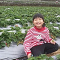 20160103_2885.jpg