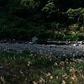 20160103_3518.jpg