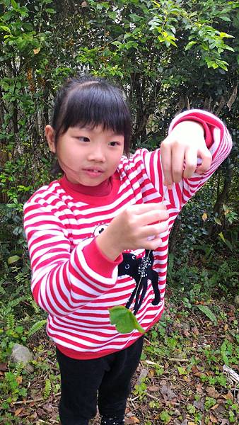 20160103_4416.jpg