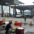 20160209_9389.jpg
