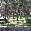 20160209_3488.jpg