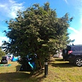 20160703_1594.jpg
