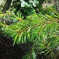 20160703_7580.jpg