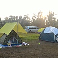 9120.jpg