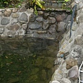 20160908_8053.jpg