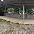 20170628_170629_0002.jpg
