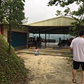 20170628_170629_0006.jpg