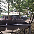 20170628_170629_0019.jpg