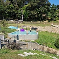 20170821_170825_0055.jpg