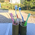 20170821_170825_0080.jpg