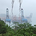 20170908_170908_0015.jpg