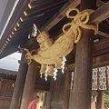20170921_170923_0131.jpg