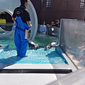 20170921_170923_0199.jpg