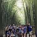 IMG_5705.JPG