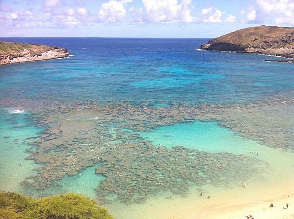 恐龍灣(Hanauma Bay)