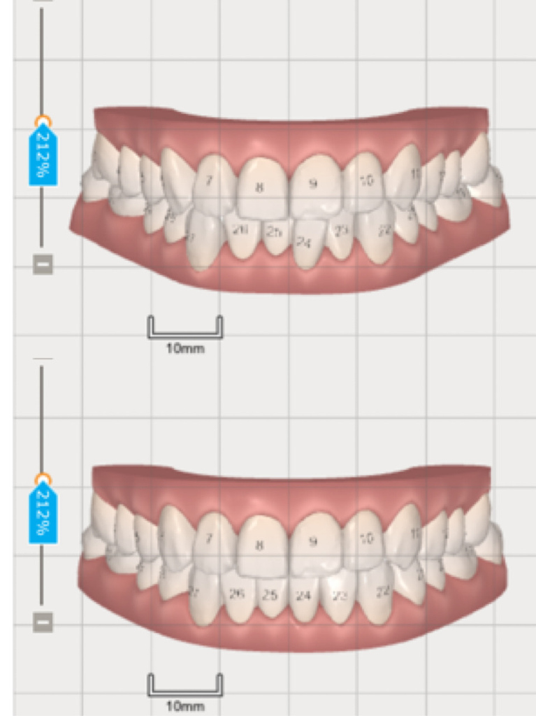 IMG_8061.JPG IMG_8061.JPG